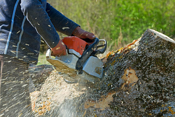 Best Weed Control  in Charlotte, TN